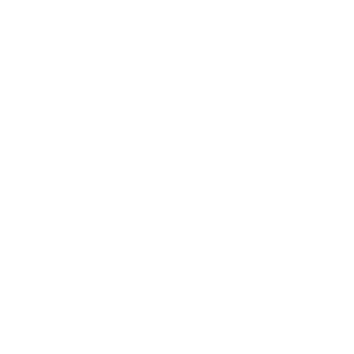 Renforcement musculaire intégral