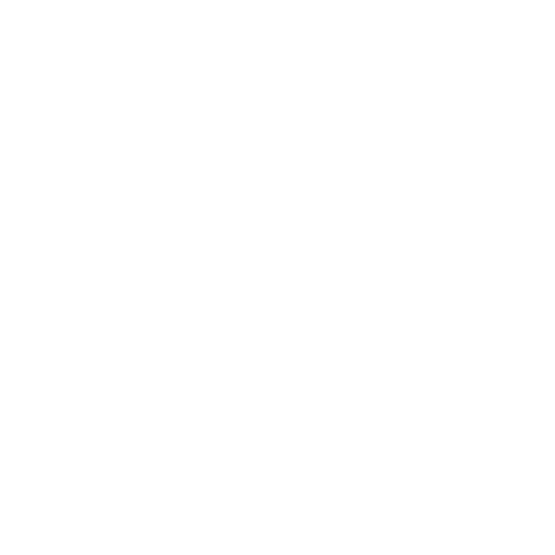 Step Débutant